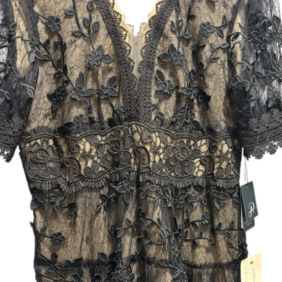 NWT Adrianna Papell Lace Embroidery Dress Black 12 - Picture 3 of 10
